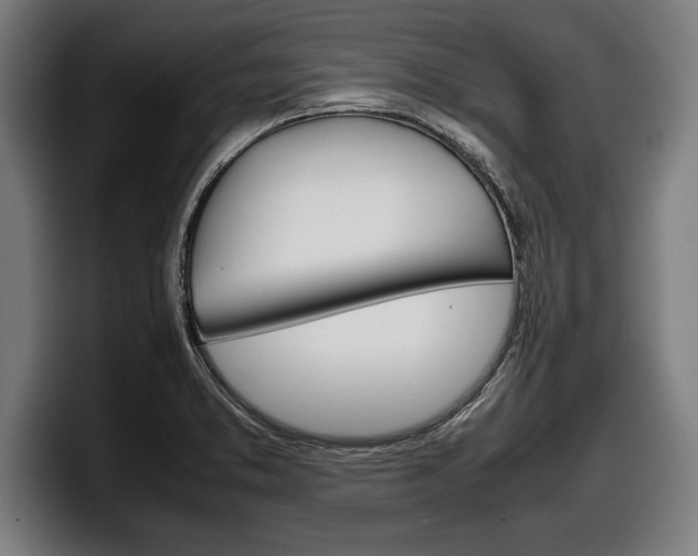 X0000098161373200804171208