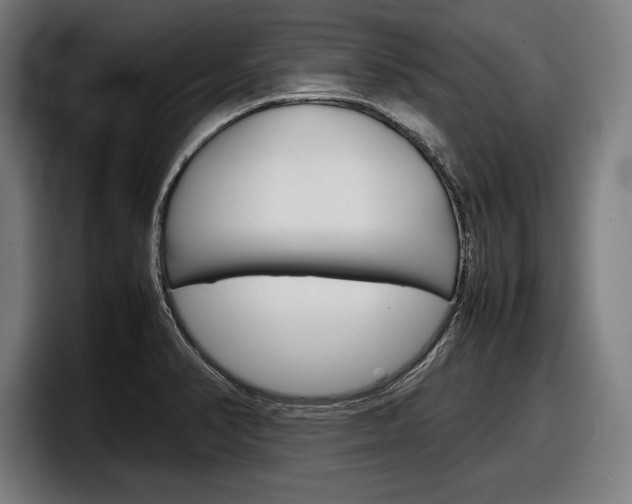 X0000098161374200804171208