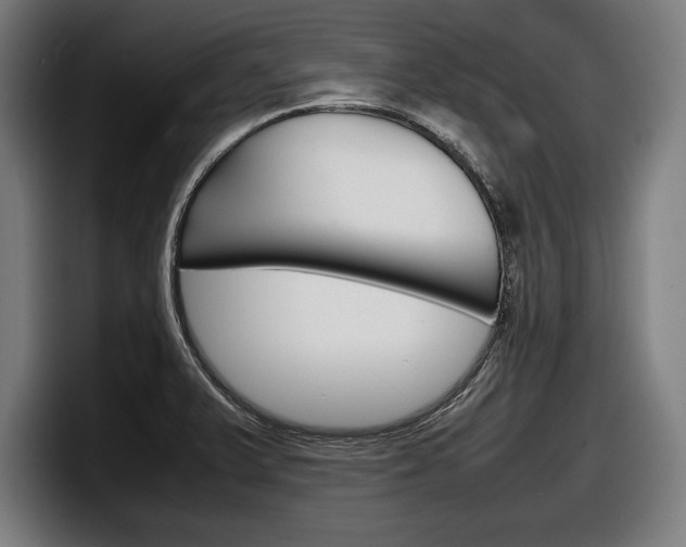 X0000098161375200804171208