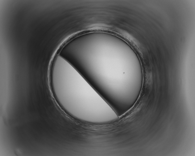 X0000098161376200804171208