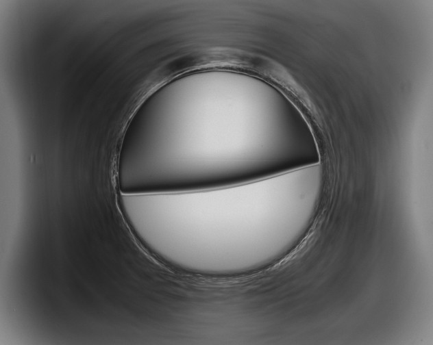 X0000098161377200804171208