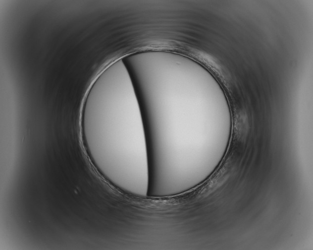 X0000098161378200804171208