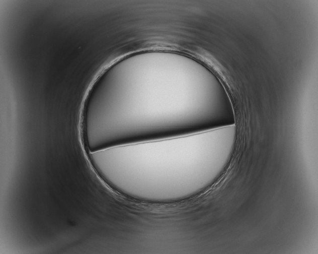 X0000098161379200804171208