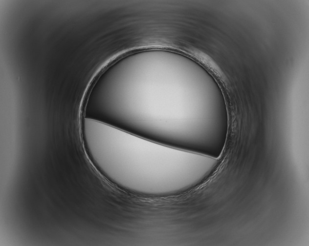 X0000098161380200804171208