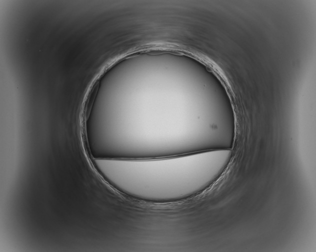X0000098161381200804171208