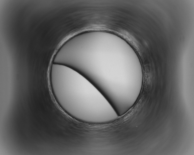 X0000098161382200804171208