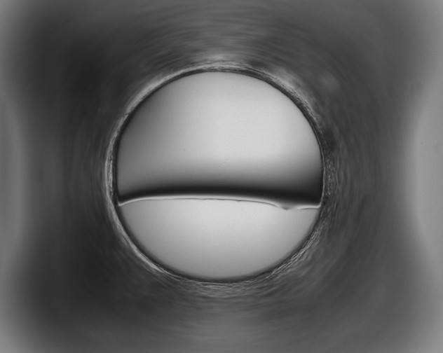 X0000098161383200804171208