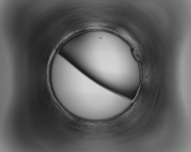 X0000098161384200804171208