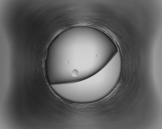 X0000098161385200804171208