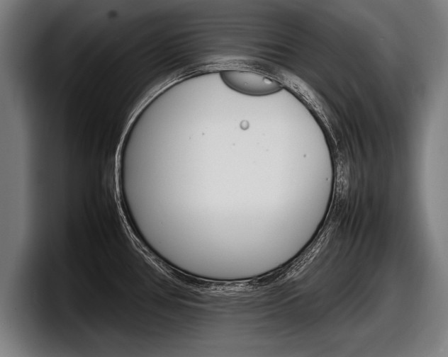 X0000098161386200804171208