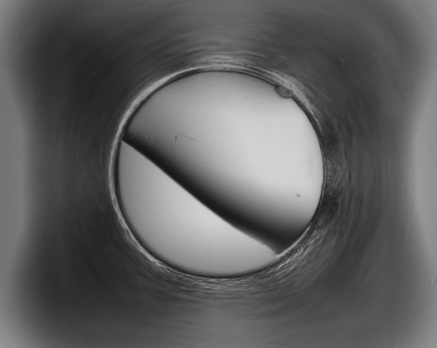 X0000098161387200804171208