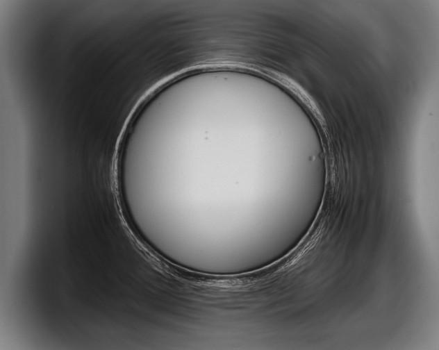 X0000098161388200804171208
