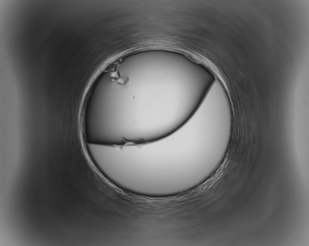 X0000098161389200804171208