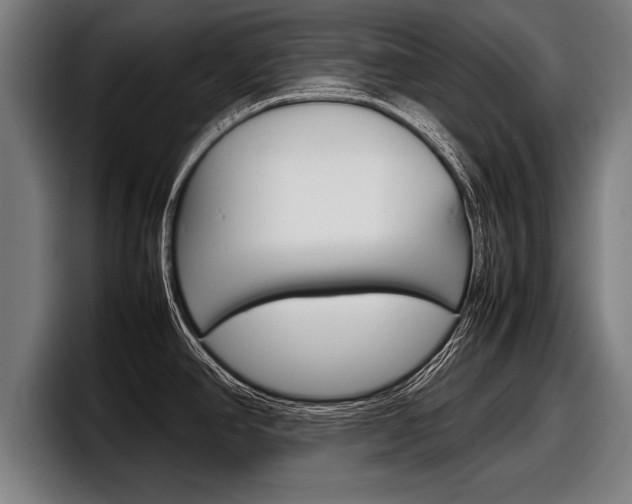 X0000098161390200804171208