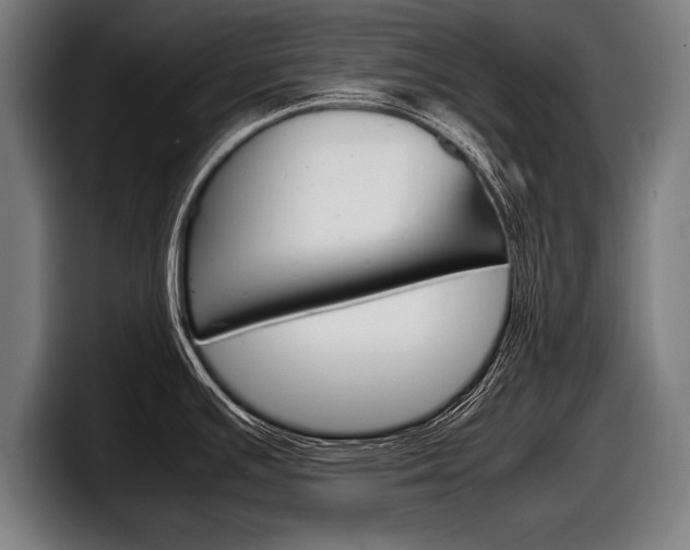 X0000098161391200804171208