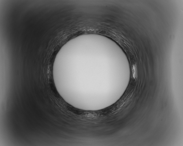 X0000098161395200804171208
