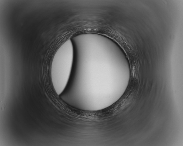 X0000098161396200804171208