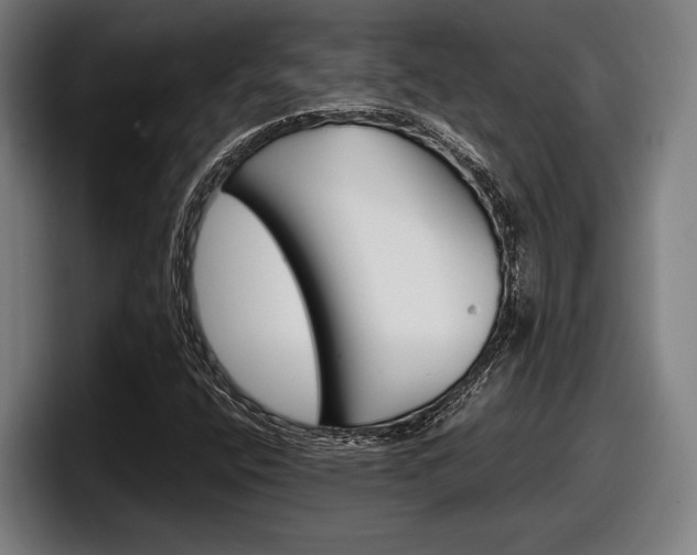 X0000098161400200804171208