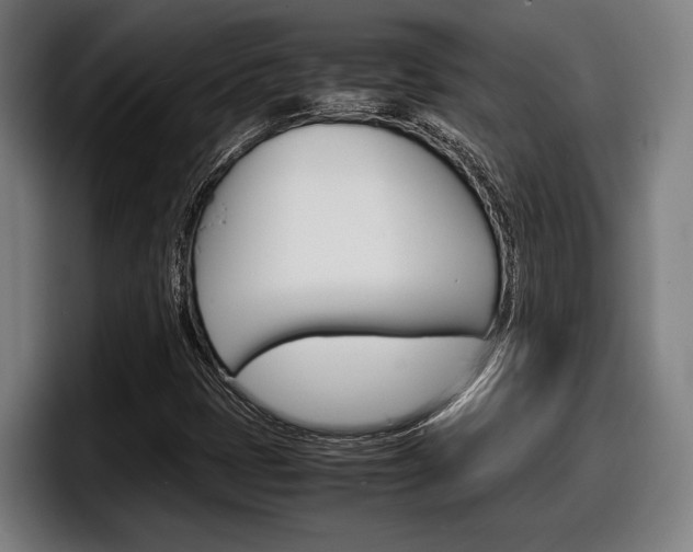X0000098161401200804171208