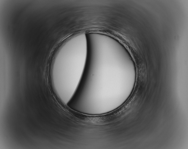X0000098161402200804171208
