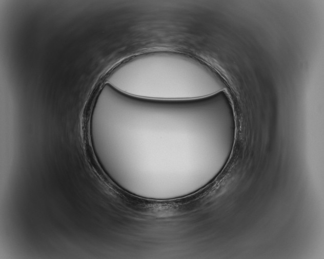 X0000098161404200804171208
