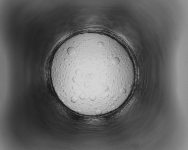 X0000098161405200804171208