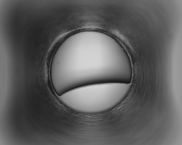 X0000098161408200804171208