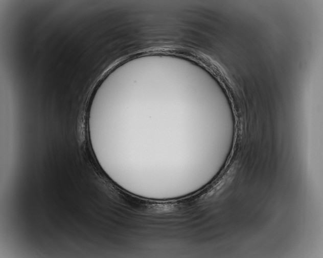 X0000098161409200804171208