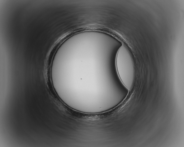 X0000098161410200804171208