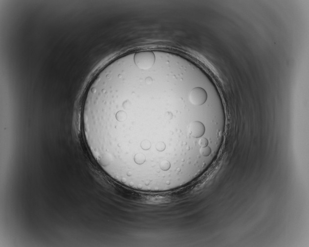 X0000098161413200804171208