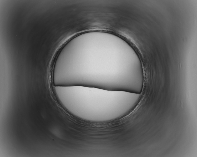 X0000098161415200804171208
