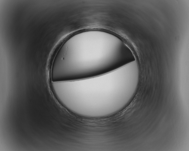 X0000098161416200804171208