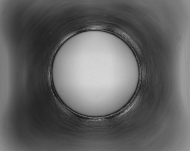 X0000098161417200804171208