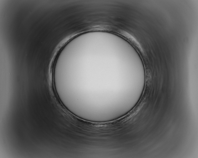 X0000098161419200804171208