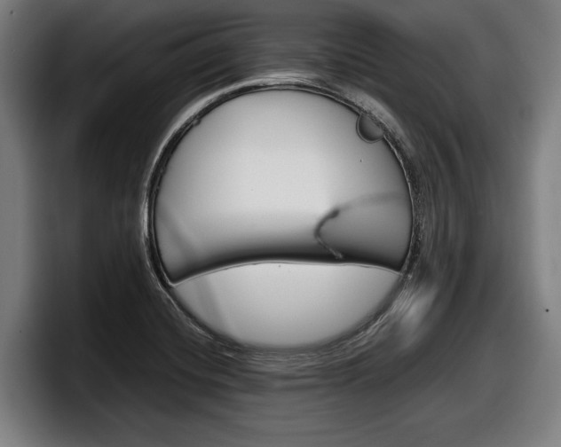 X0000098161420200804171208