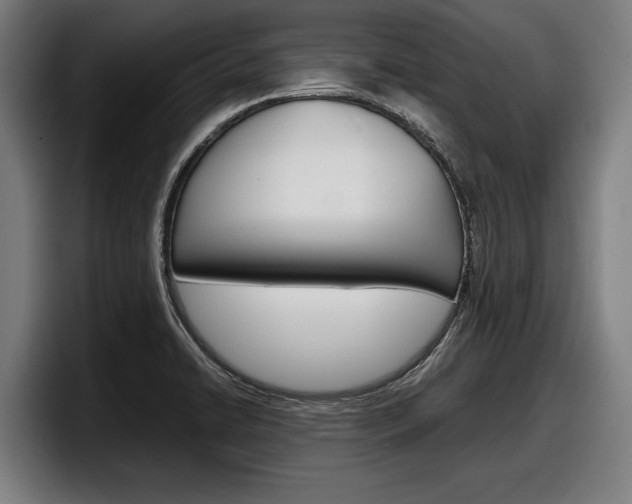 X0000098161422200804171208