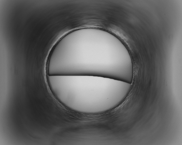 X0000098161423200804171208