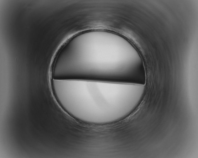 X0000098161424200804171208