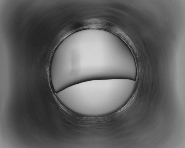 X0000098161425200804171208