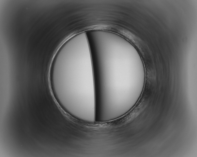 X0000098161426200804171208