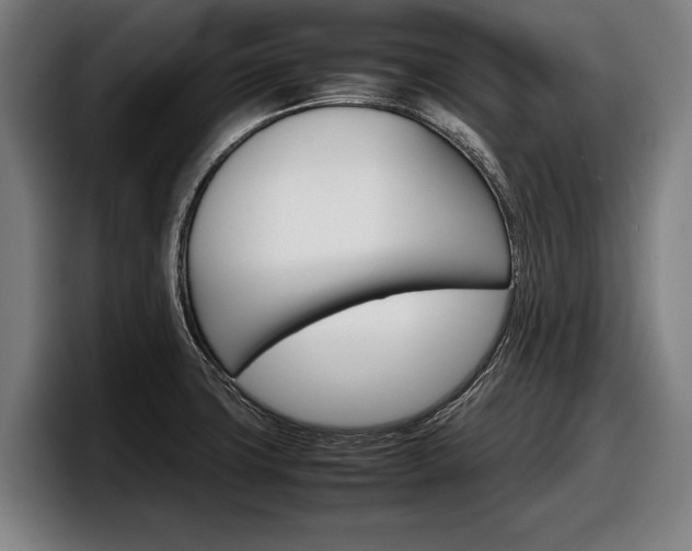 X0000098161427200804171208