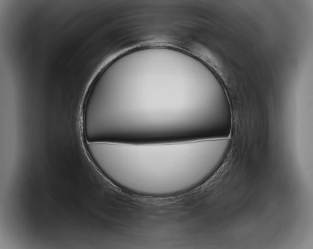 X0000098161428200804171208