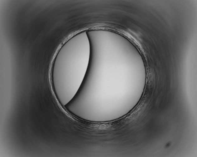 X0000098161429200804171208