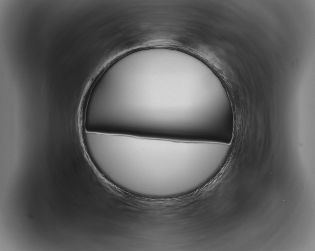 X0000098161430200804171208