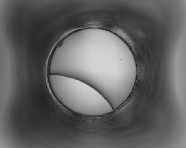 X0000098161431200804171208