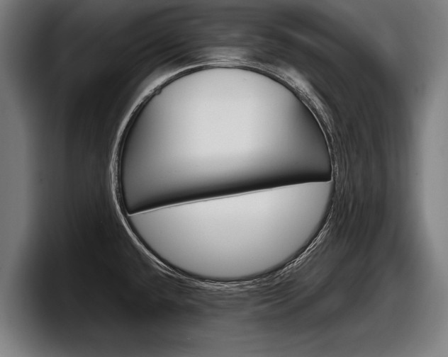 X0000098161432200804171208