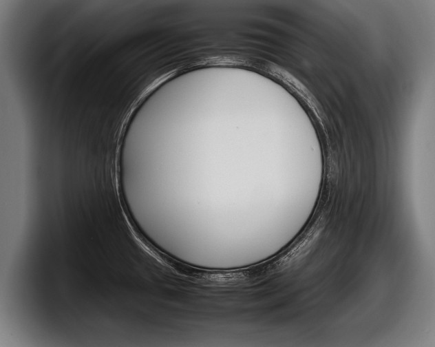 X0000098161433200804171208