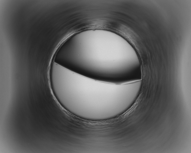 X0000098161434200804171208