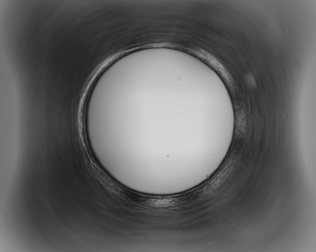 X0000098161435200804171208