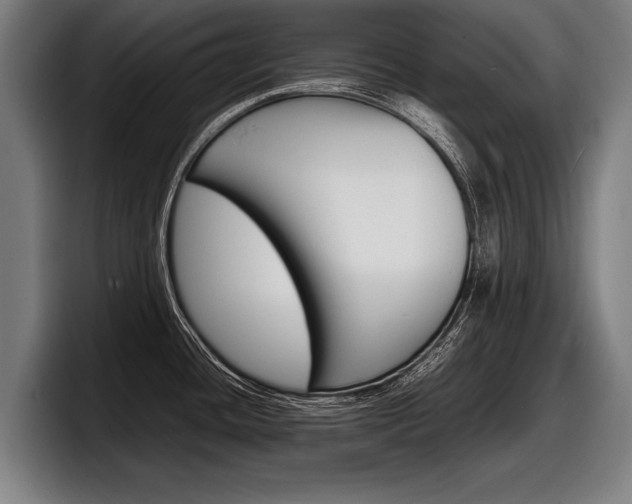 X0000098161436200804171208